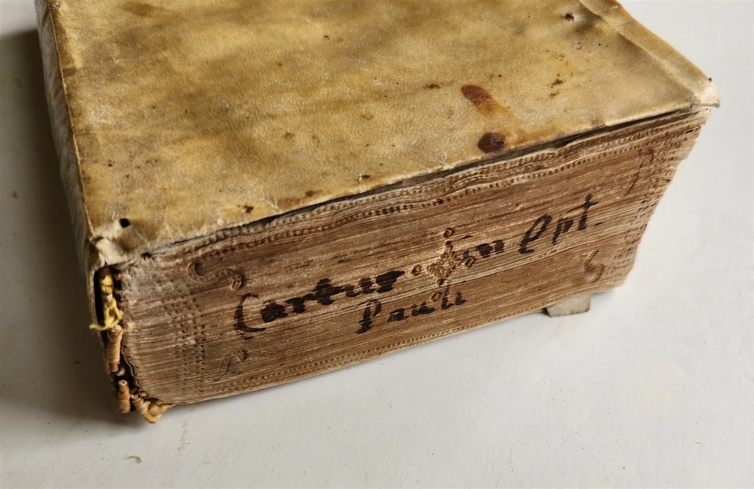 1555 BIBLE COMMENTARY by Dionysius Carthusianus antique VELLUM BINDING 16th CEN. - 5