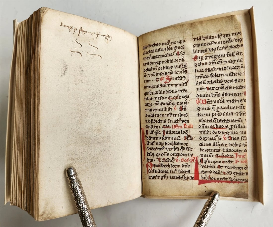 1533 POST-INCUNABULA THEOLOGY in LATIN antique ANCIENT VELLUM MANUSCRIPT BINDING - 4