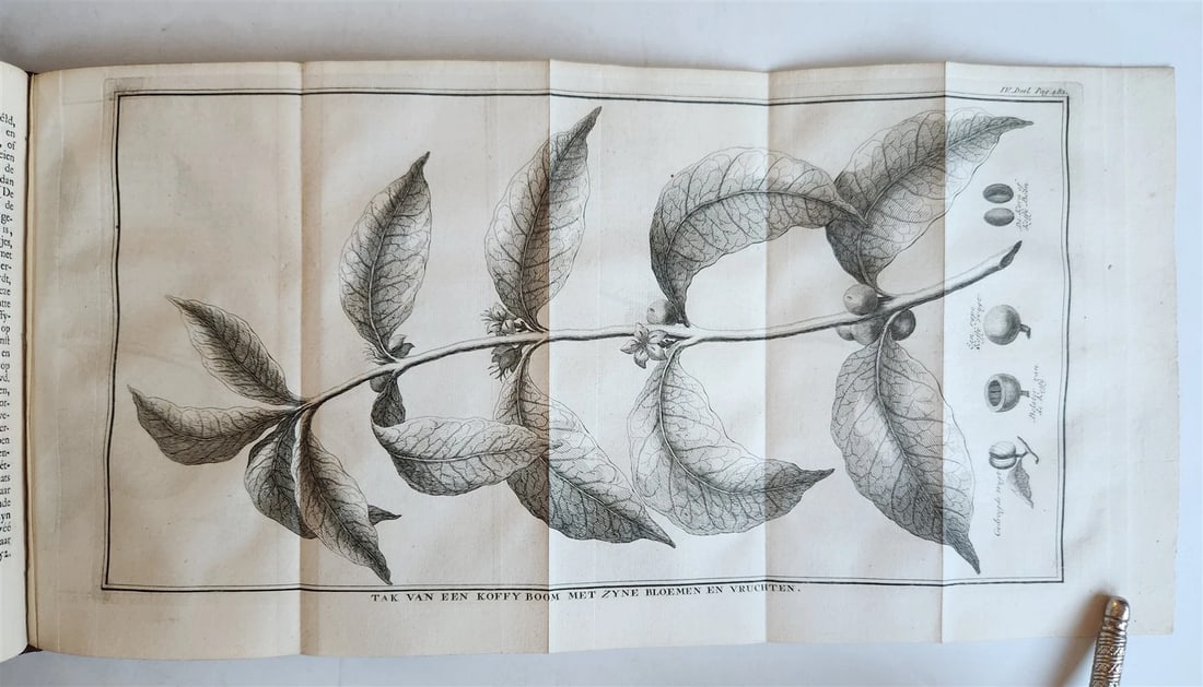 1732 ILLUSTRATED HISTORY of PERSIA ARABIA ASIATIC TARTARY RUSSIA w/maps ANTIQUE - 13