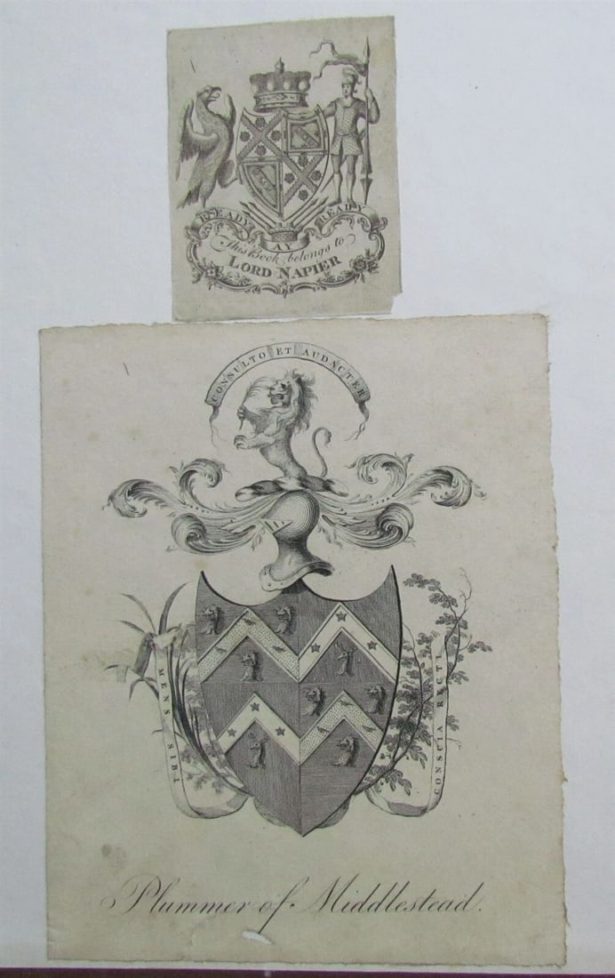 JOURNALS OF THE HOUSE OF LORDS 1644-1645 large folio antique in ENGLISH - 3