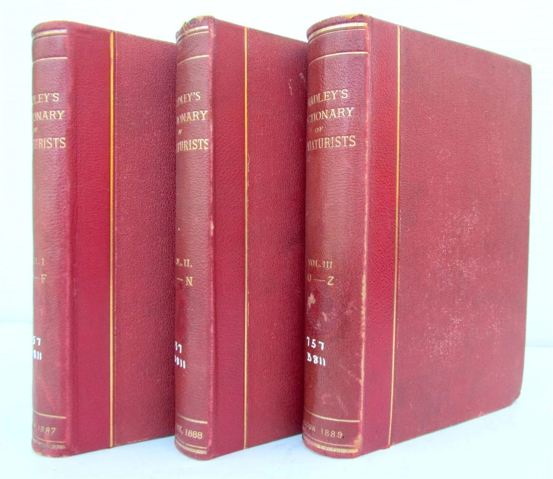 1887 BRADLEY'S DICTIONARY OF MINIATURISTS 3 volumes in English ANTIQUE (1 of 8)