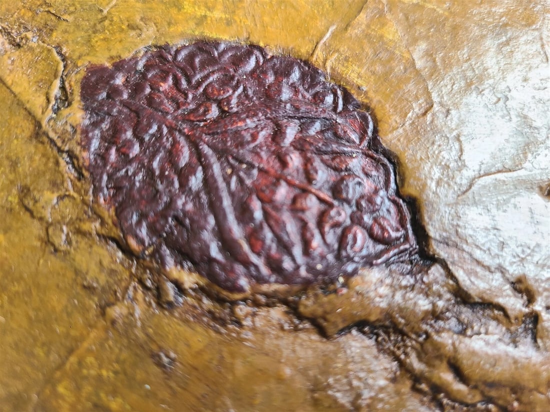 19th CENTURY ARABIC ISLAMIC CANON LAW MANUSCRIPT antique FIQH - 3