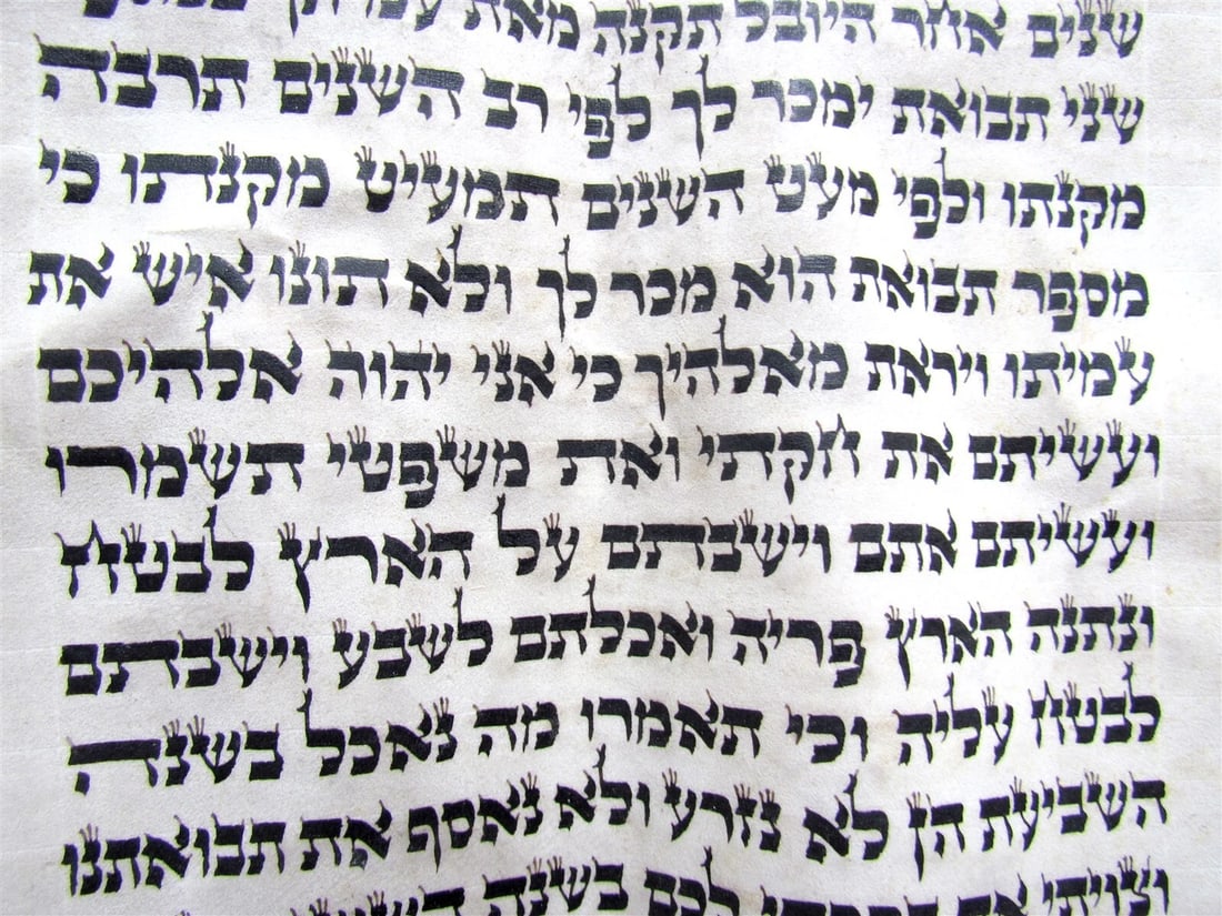 TORAH SCROLL FRAGMENT MANUSCRIPT VELLUM ANTIQUE BIBLE Leviticus 24:2-26:18 - 3