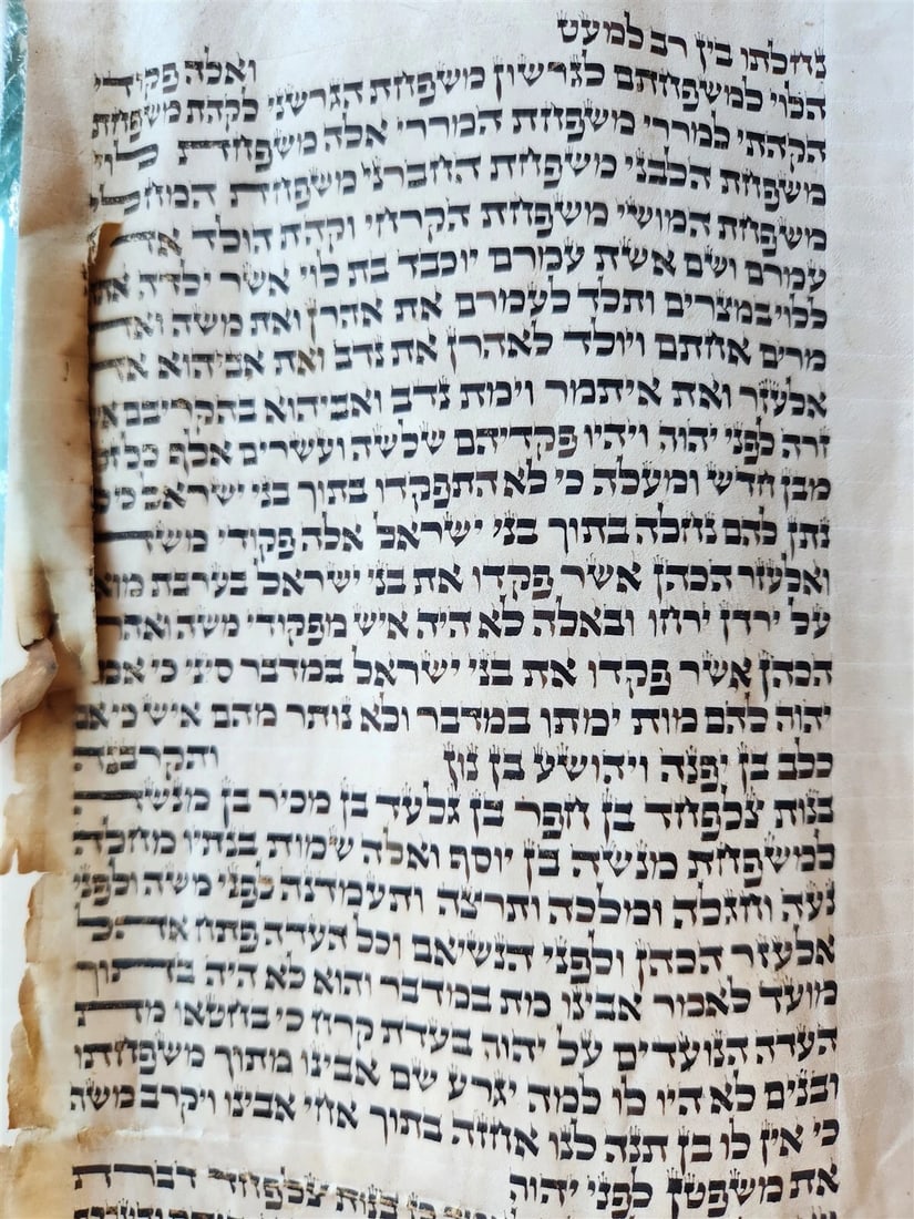 TORAH SCROLL FRAGMENT MANUSCRIPT on VELLUM antique BIBLE BOOK OF NUMBERS - 3