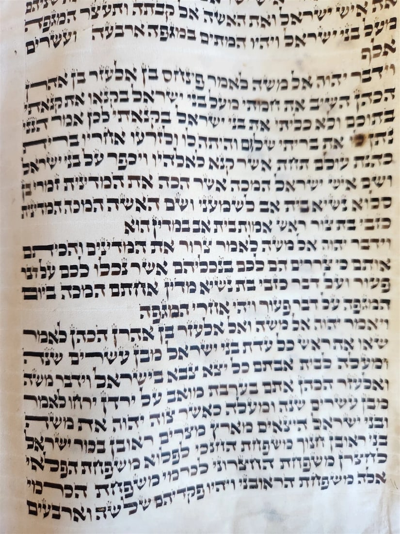 TORAH SCROLL FRAGMENT MANUSCRIPT on VELLUM antique BIBLE BOOK OF NUMBERS - 5