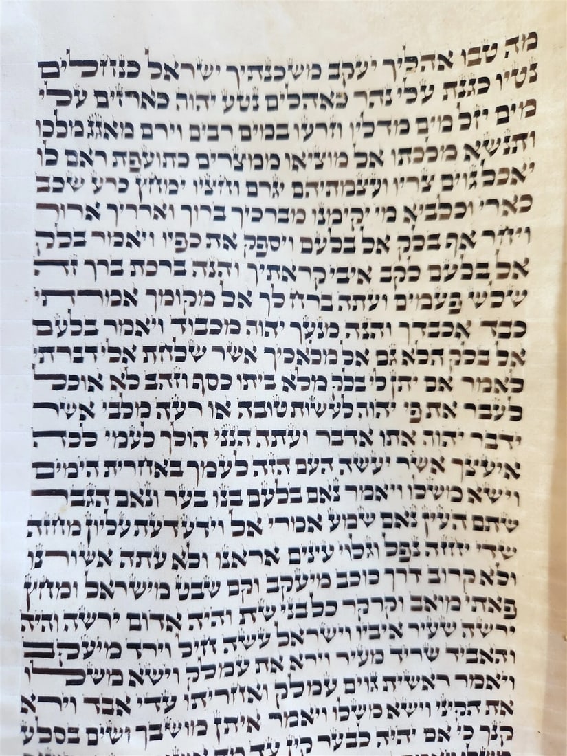 TORAH SCROLL FRAGMENT MANUSCRIPT on VELLUM antique BIBLE BOOK OF NUMBERS - 6