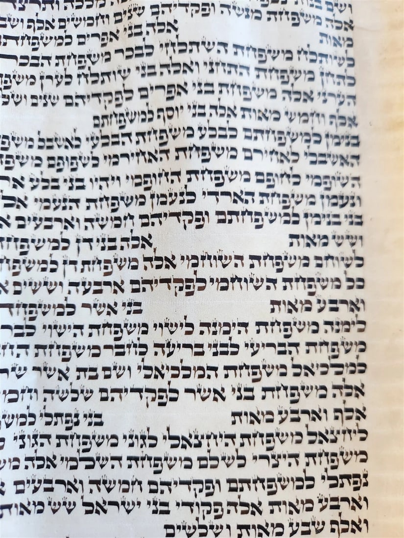 TORAH SCROLL FRAGMENT MANUSCRIPT on VELLUM antique BIBLE BOOK OF NUMBERS - 7