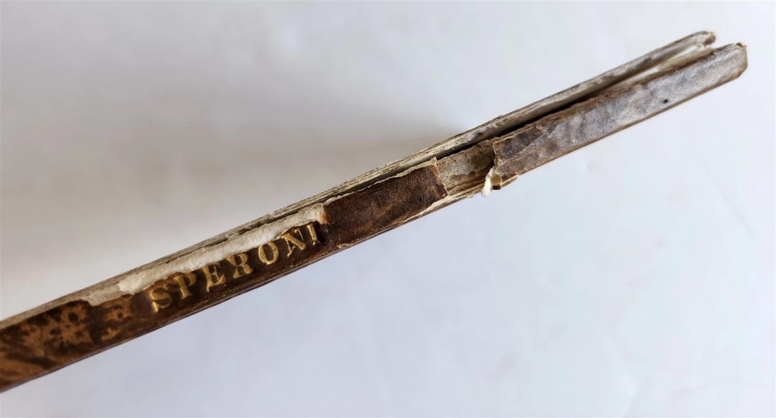 1598 DISCORSI by S. SPERONI antique 16th CENTURY in ITALIAN - 11