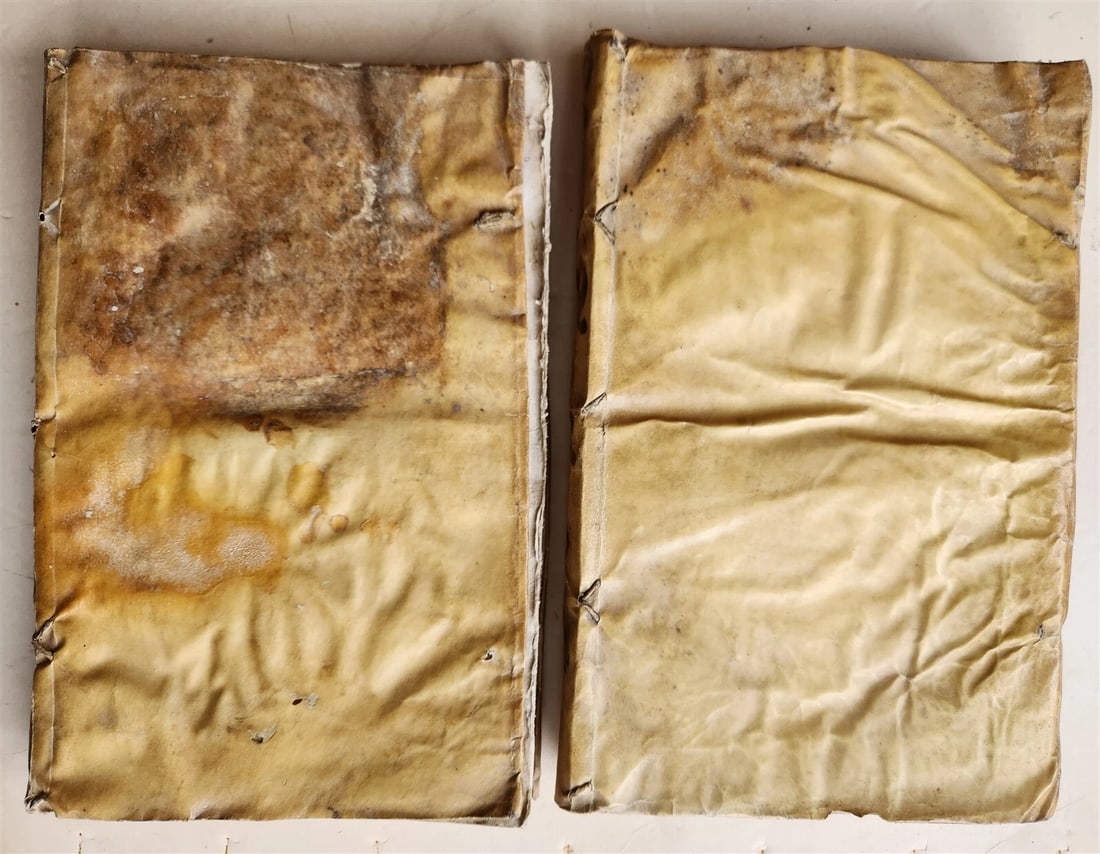 1676 pair of LAW FOLIO BOOKS antique VELLUM BINDING w/ MANUSCRIPT SPINES - 5