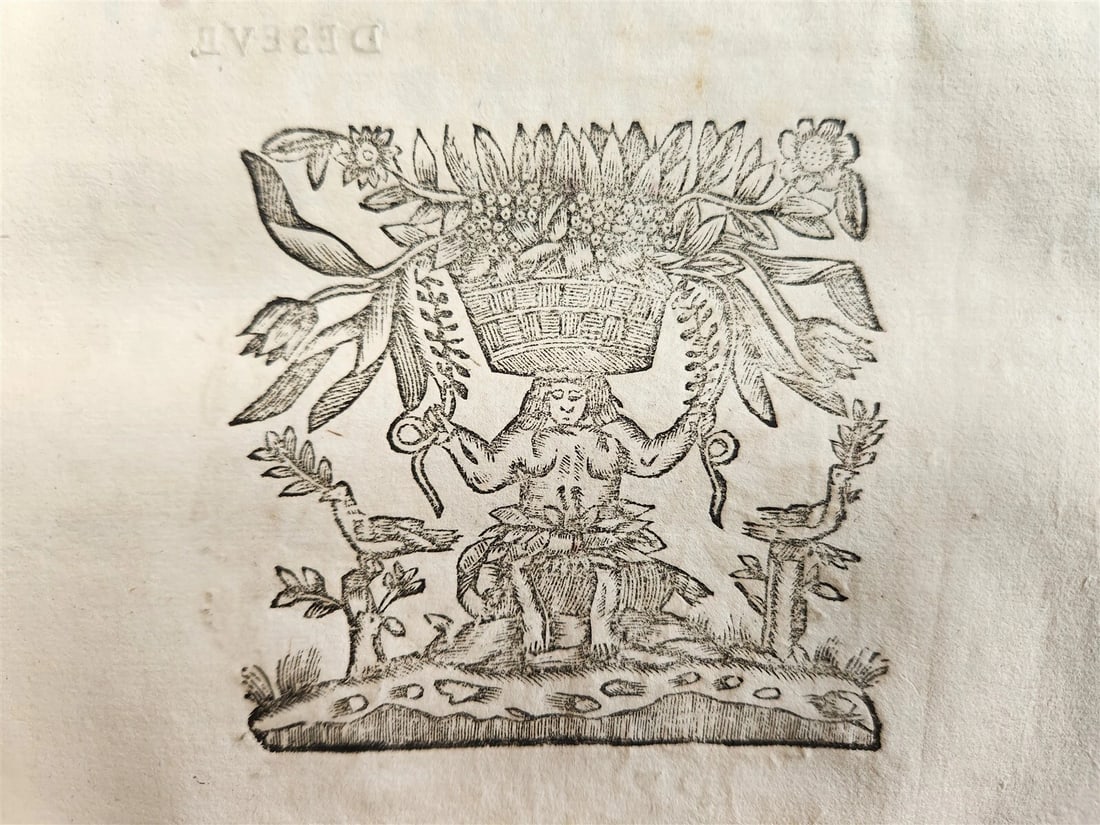 1676 pair of LAW FOLIO BOOKS antique VELLUM BINDING w/ MANUSCRIPT SPINES - 7