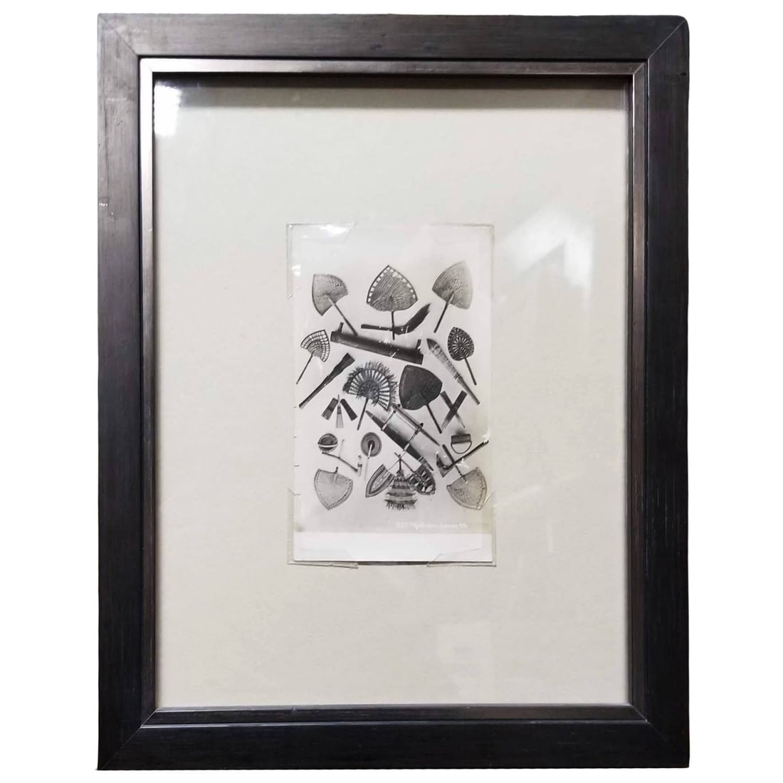 Samoan Fans Original Photography Print by Alfred James Tattersall - 2