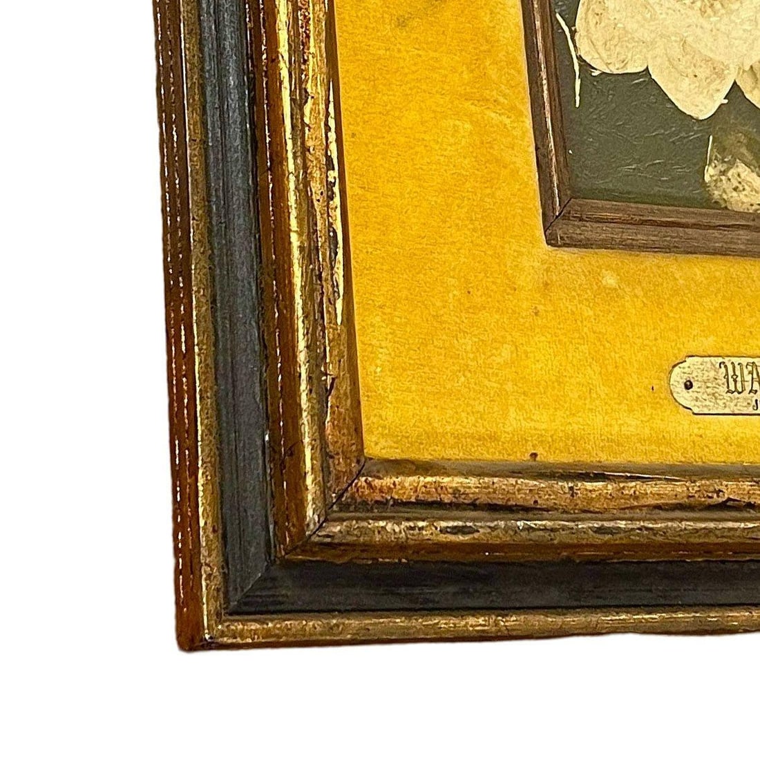 Still Life Floral "Water Lily" Oil on Board by James Pasqual Bettio - 19