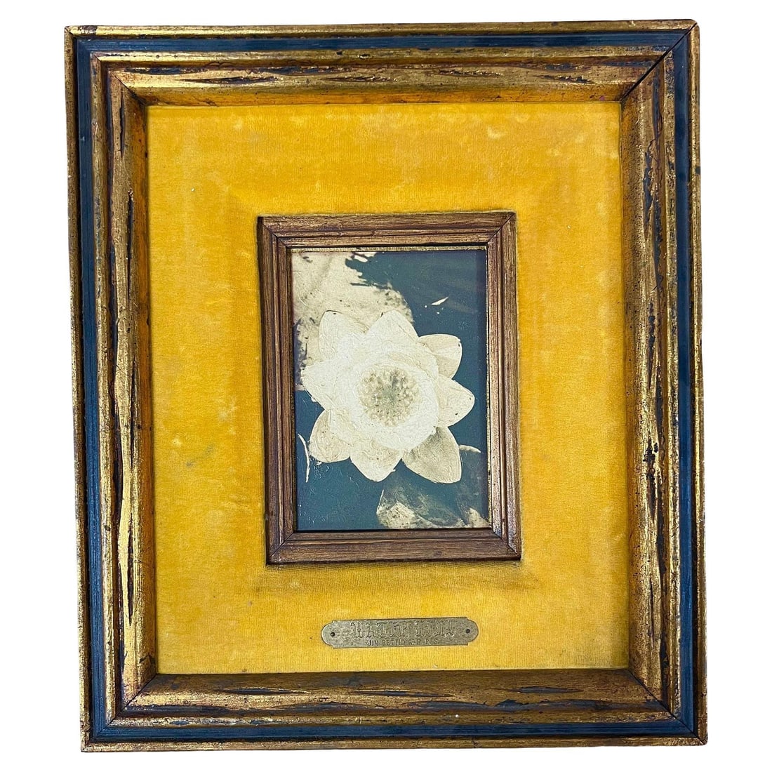 Still Life Floral "Water Lily" Oil on Board by James Pasqual Bettio: Title: Still Life Floral "Water Lily" Oil on Board by James Pasqual Bettio Description: Original Still Life of a Water Lily Oil on Board with original hand-painted frame by James Pasqual Bettio. It