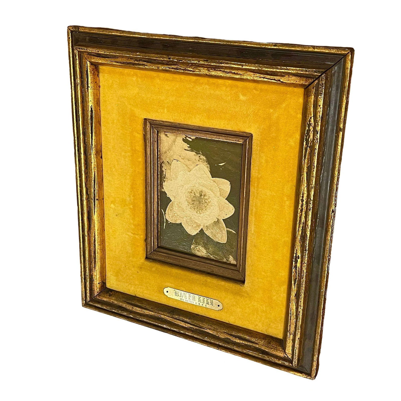 Still Life Floral "Water Lily" Oil on Board by James Pasqual Bettio - 2