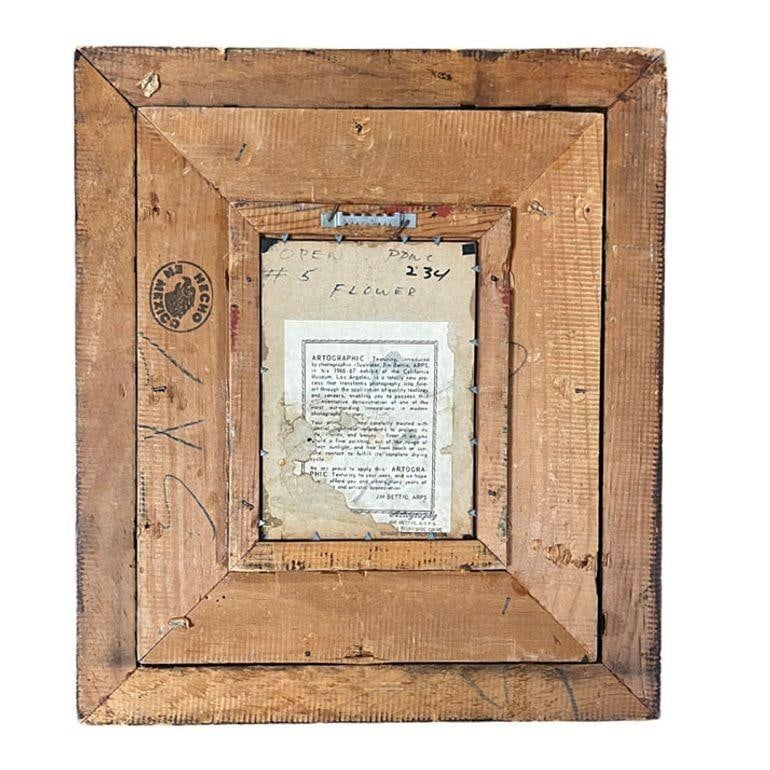 Still Life Floral "Water Lily" Oil on Board by James Pasqual Bettio - 6