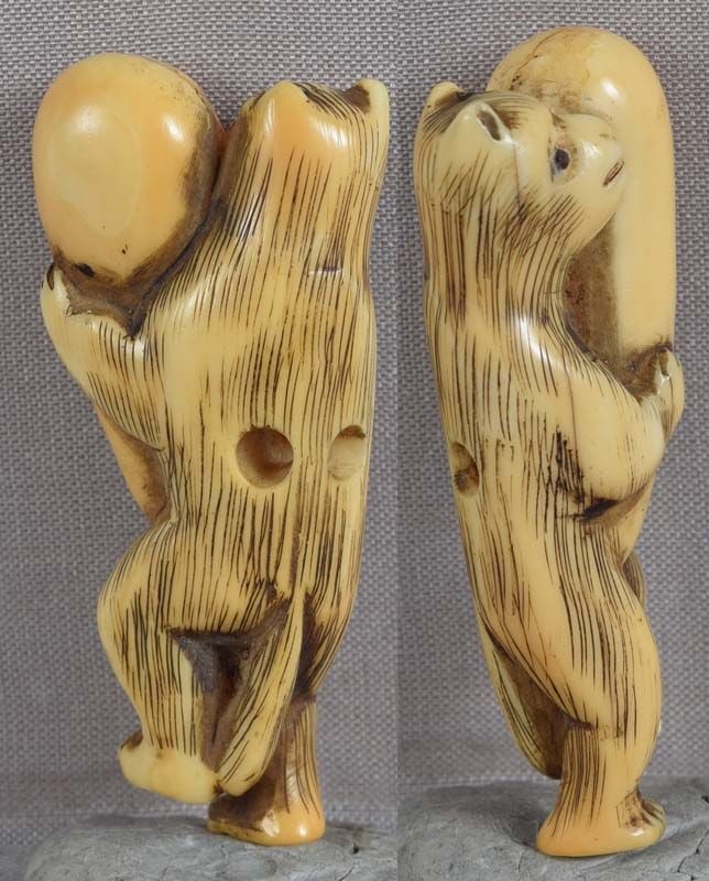 19c marine netsuke indecent TANUKI the badger - 2