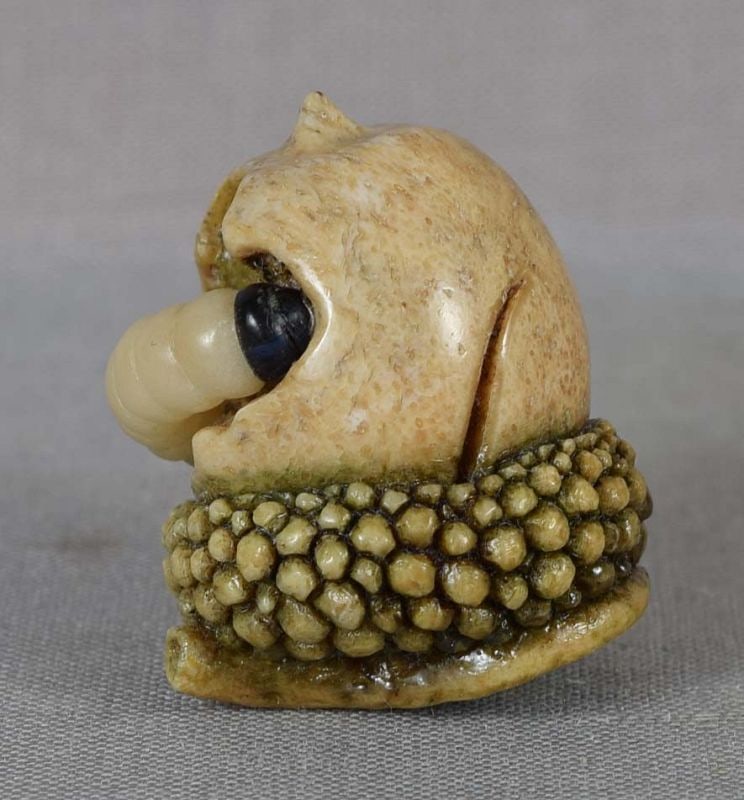 Ojime netsuke slide WORM in ACORN - 5
