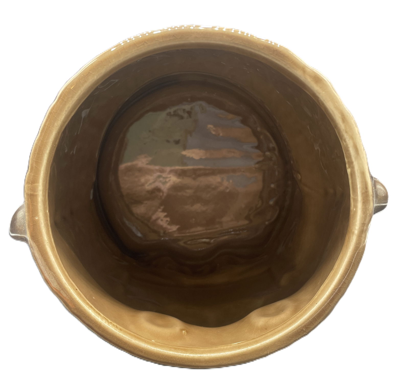 1950's MADE IN JAPAN Bear And Cub "BISCUITS" Vintage Cookie Jar - 7