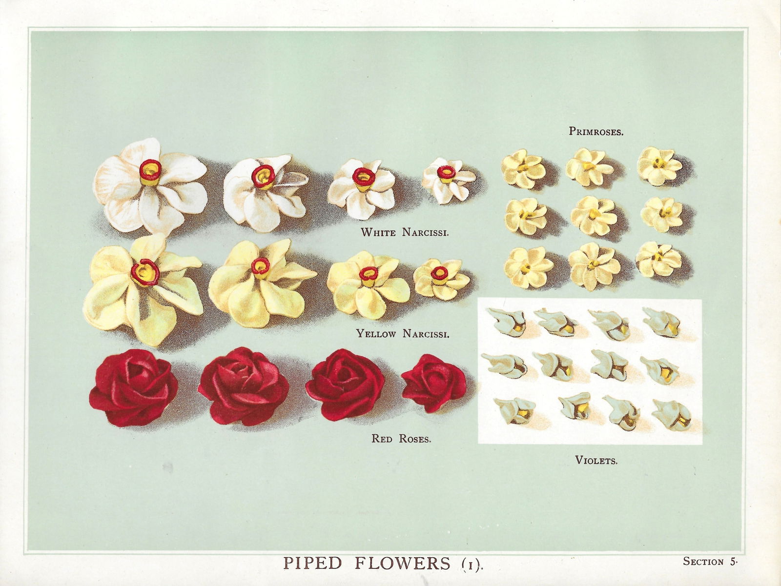 Piped Flowers - antique printt: Lot Title: Piped Flowers - antique printt Author/Artist: T. Percy Lewis Date: c1903 Source: "The Book of Cakes" Size/Format: 11.5 x 8.5 inches Process: Chromolithography Additional Information: “