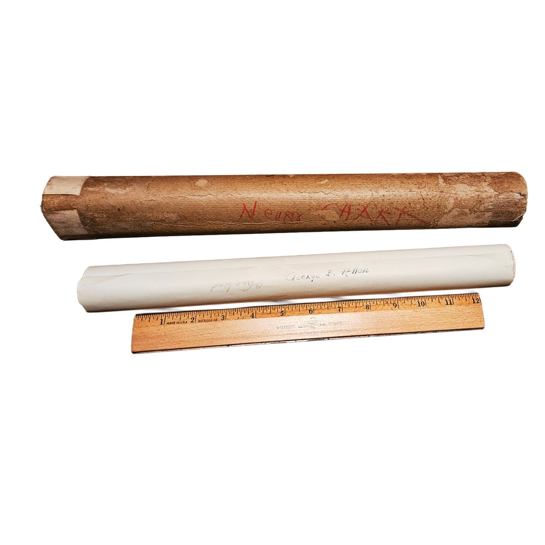 Vintage Pull-down Canvas Neuro Chart entitled “Anatomy of the Brain and Spinal Cord”: Title: Vintage Pull-down Canvas Neuro Chart entitled “Anatomy of the Brain and Spinal Cord”Description: This scroll, “Anatomy of the Brain and Spinal Cord" is a detailed educational