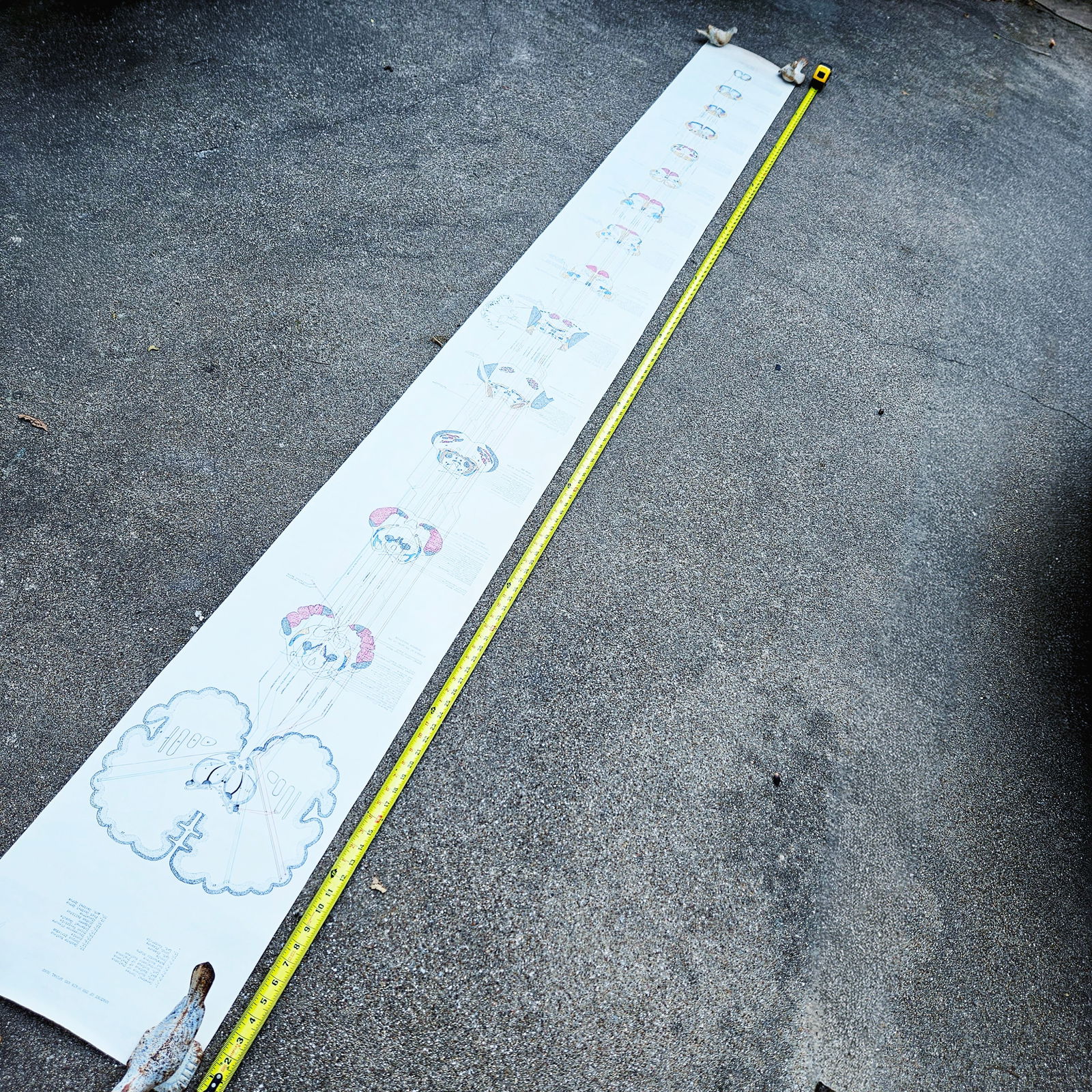 Vintage Pull-down Canvas Neuro Chart entitled “Anatomy of the Brain and Spinal Cord” - 4