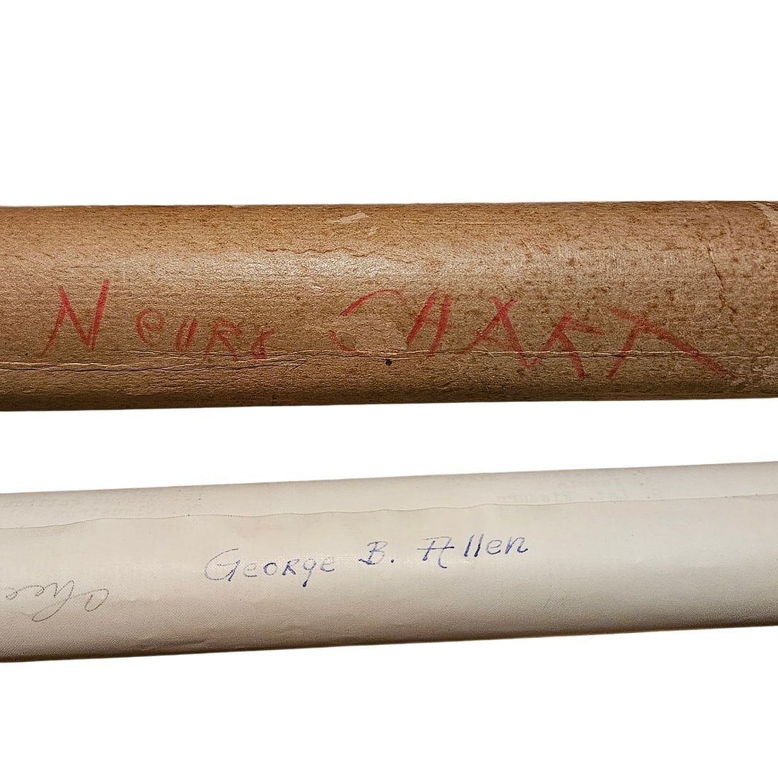 Vintage Pull-down Canvas Neuro Chart entitled “Anatomy of the Brain and Spinal Cord” - 8