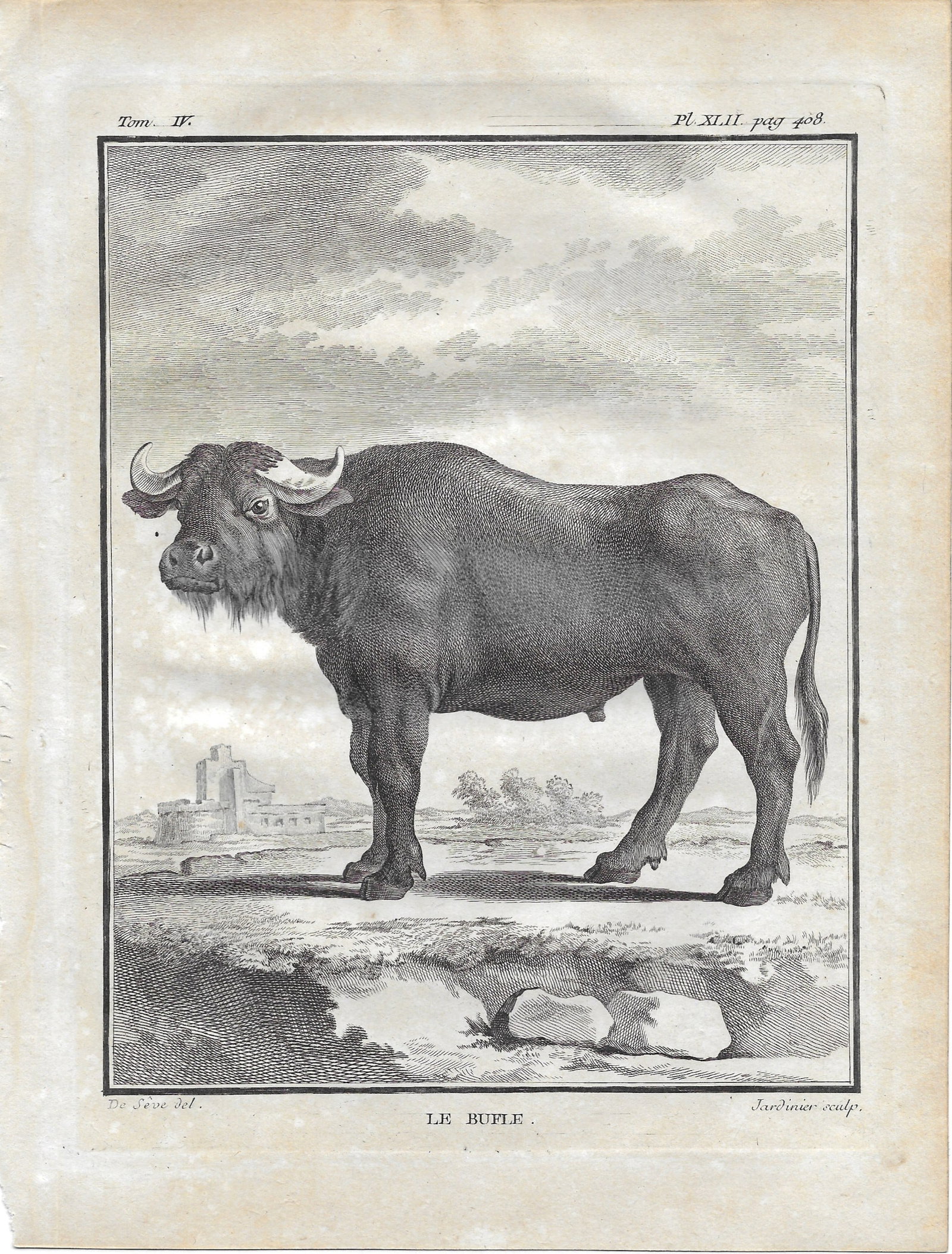 Water Buffalo - antique print: Lot Title: Water Buffalo - antique print Author/Artist: Buffon & de Seve Date: 1774-1788 Source: "Natural; History./.." Size/Format: 10 x 7.5 inches Process: Engraving Additional Information: George L