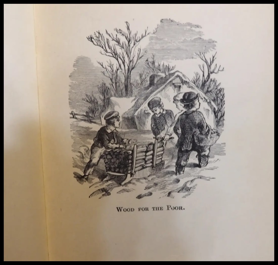 1890 First Printing Riverdale Stories by Oliver Optic- The Do-Somethings - 10