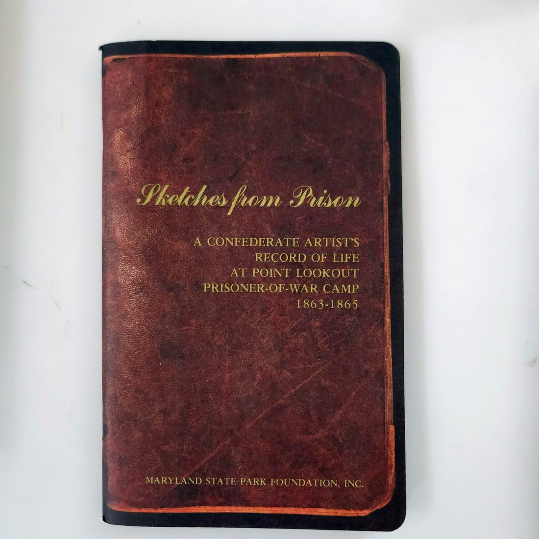 Sex in the Civil War & Sketches from Prison Civil War History Books - 3