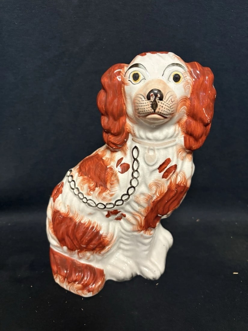 Pr Staffordshire Spaniel Dogs - 2