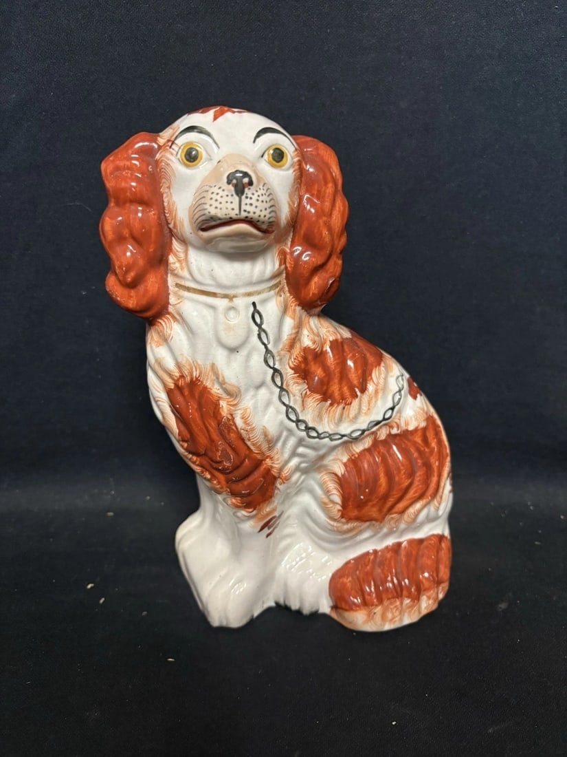 Pr Staffordshire Spaniel Dogs - 5