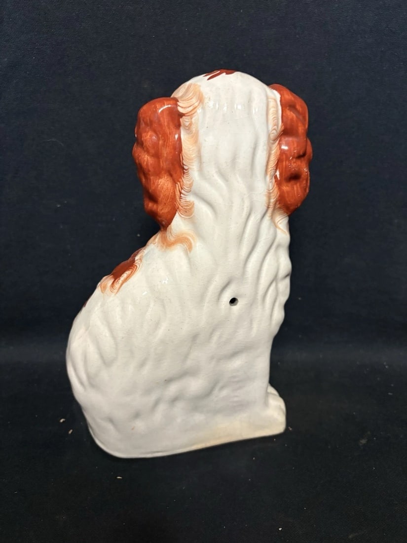 Pr Staffordshire Spaniel Dogs - 6