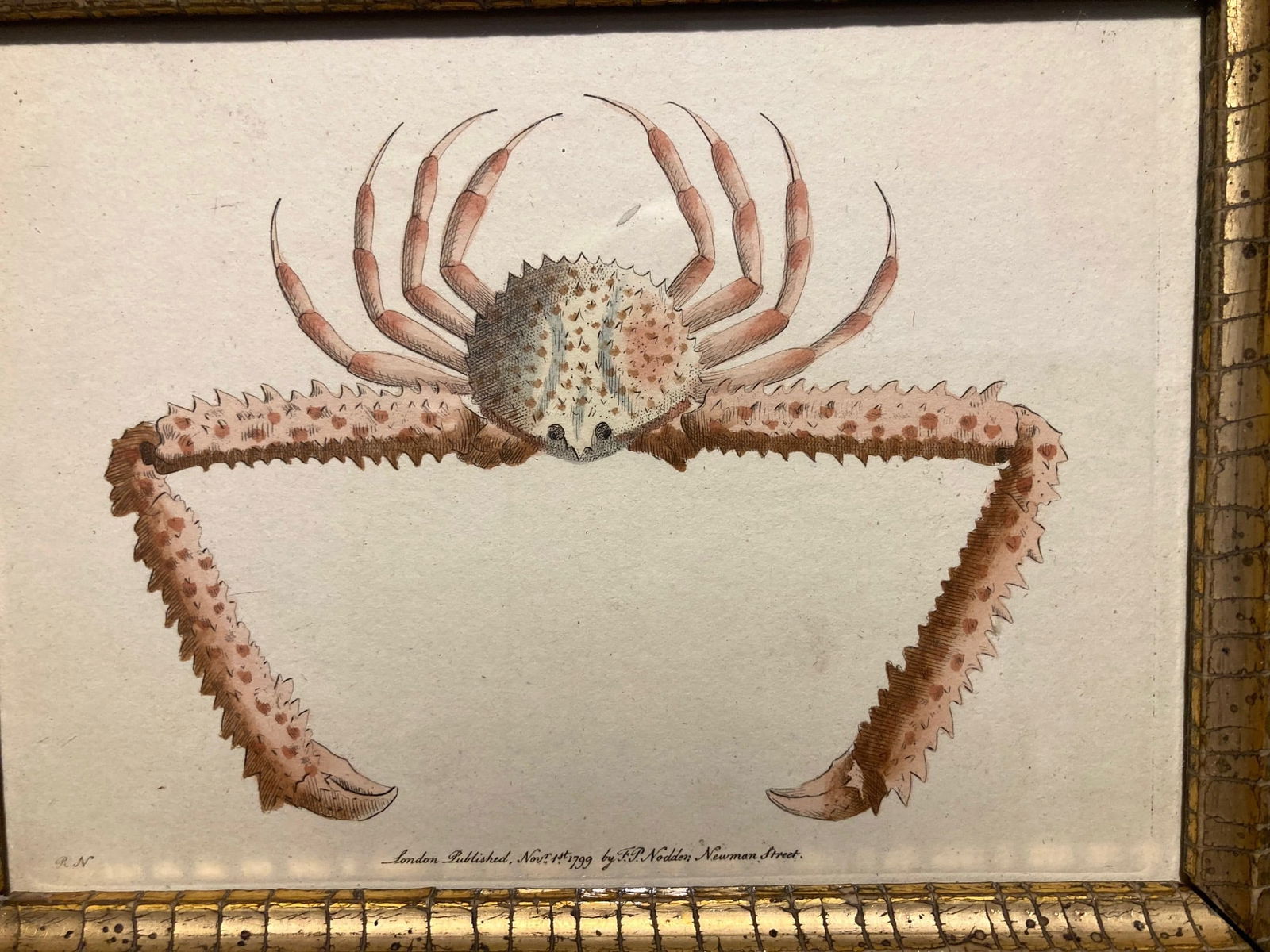 1799 hand colored crab engraving - 2