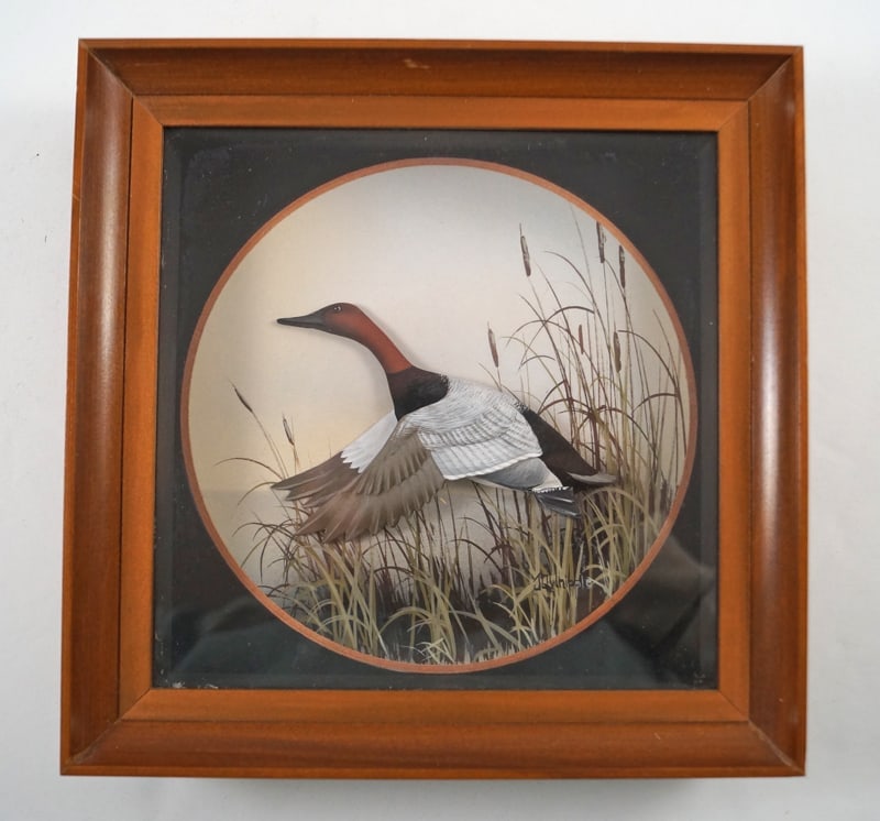 Canvas Back Duck Diorama by J.Q. Whipple (1 of 3)