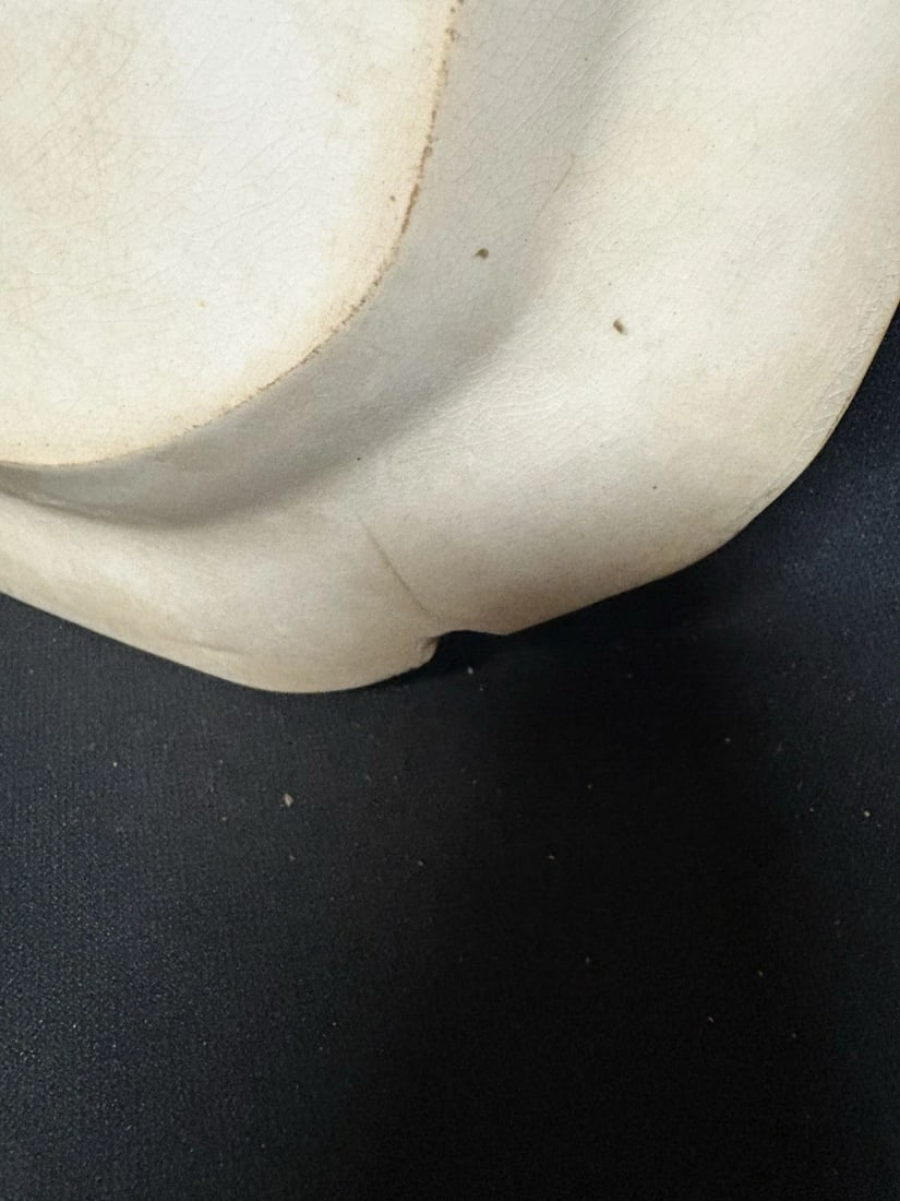 American Cities And Scenery Albany Historical Staffordshire Platter - 5