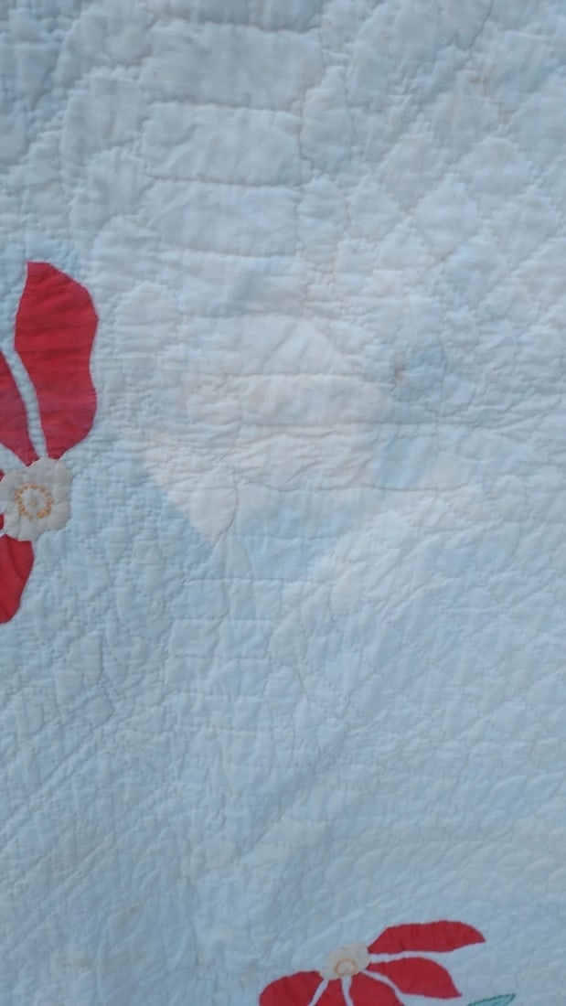 Flower Design Quilt 1920 - 3