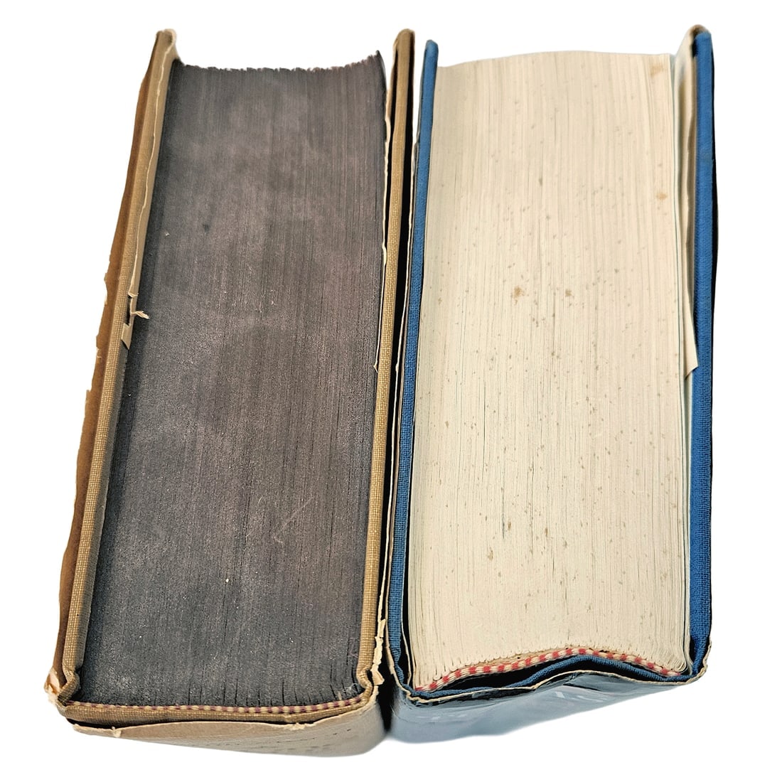 Texas History Books that Every Texas History Buff Should Have - 3