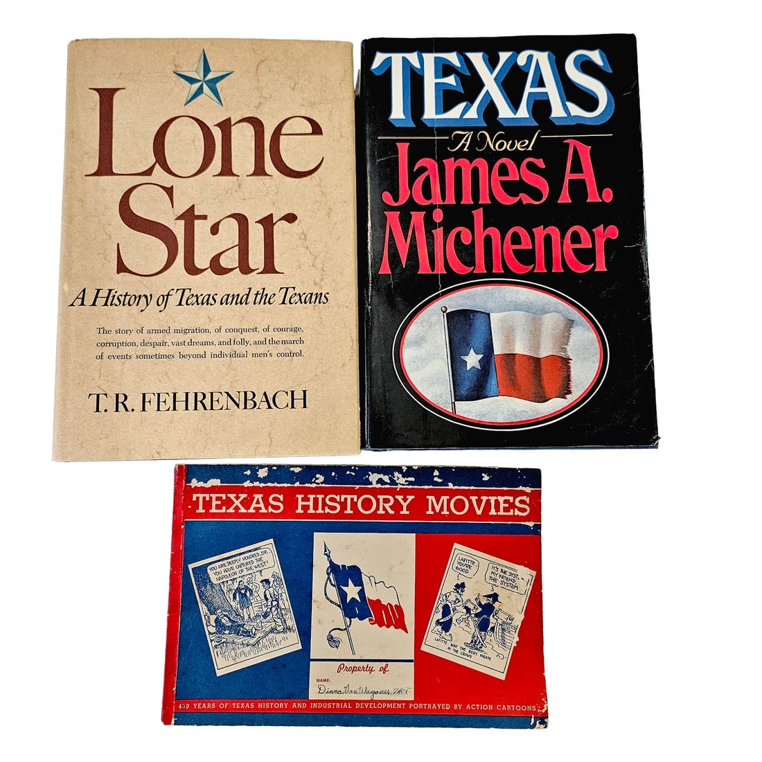 Texas History Books that Every Texas History Buff Should Have - 4