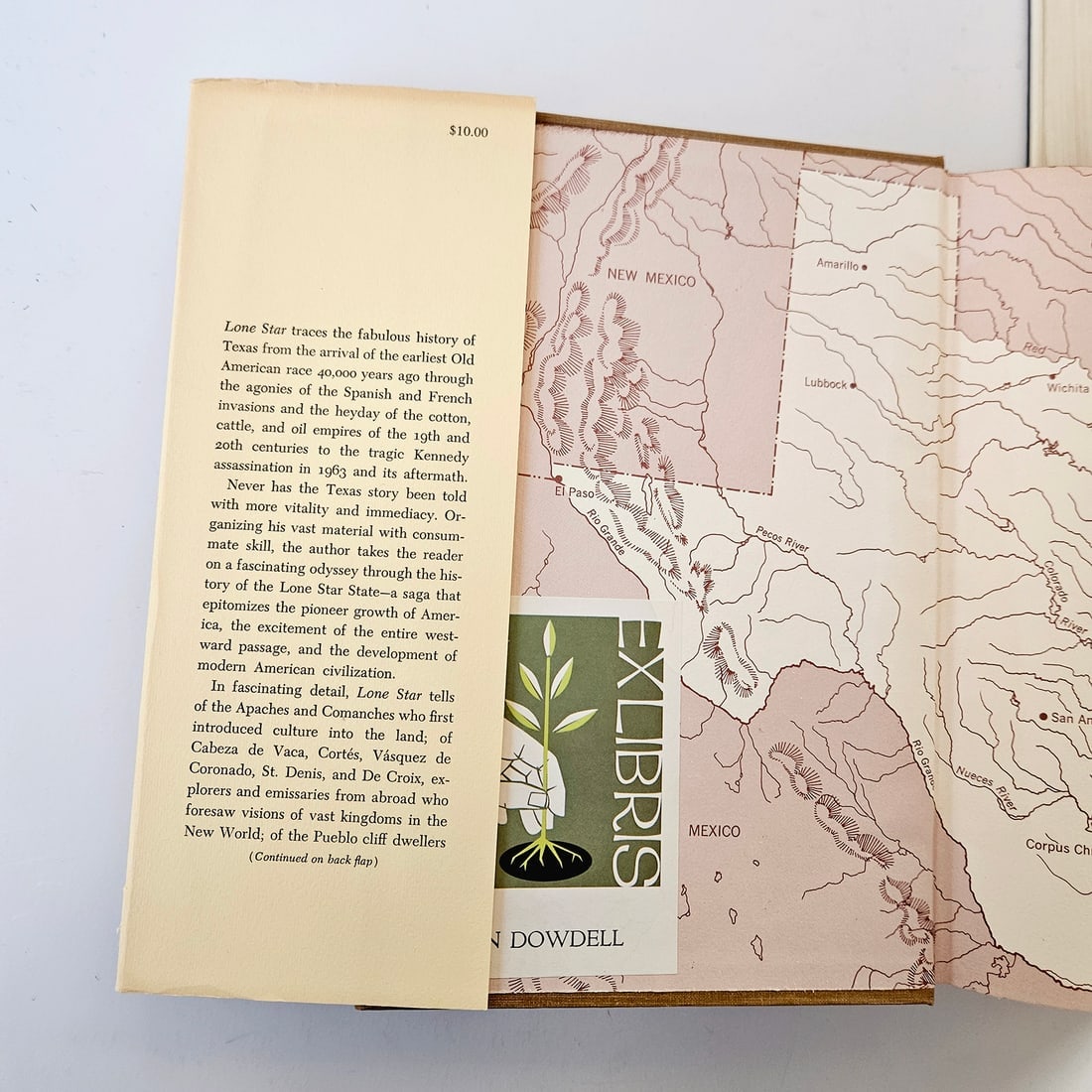 Texas History Books that Every Texas History Buff Should Have - 7