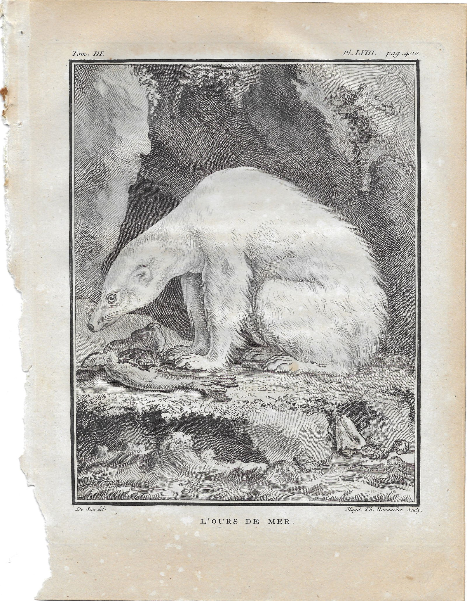Polar Bear - antique print: Lot Title: Polar Bear - antique print Author/Artist: Buffon & de Seve Date: 1774-1788 Source: "Natural; History./.." Size/Format: 10 x 7.5 inches Process: Engraving Additional Information: George Loui