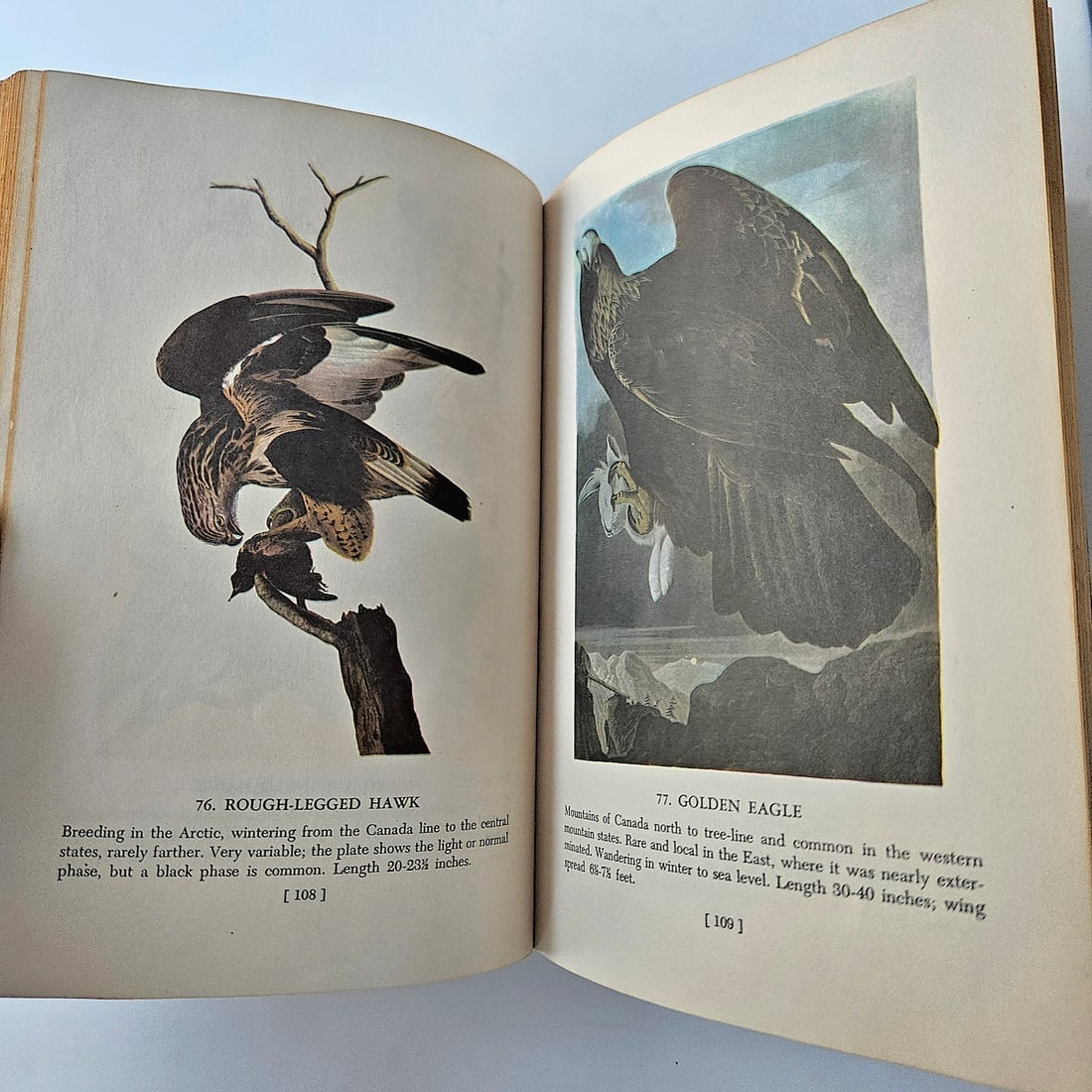 Audubon BIRDS OF AMERICA Book Lot - 10