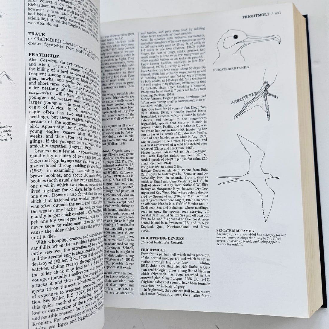 Audubon BIRDS OF AMERICA Book Lot - 14