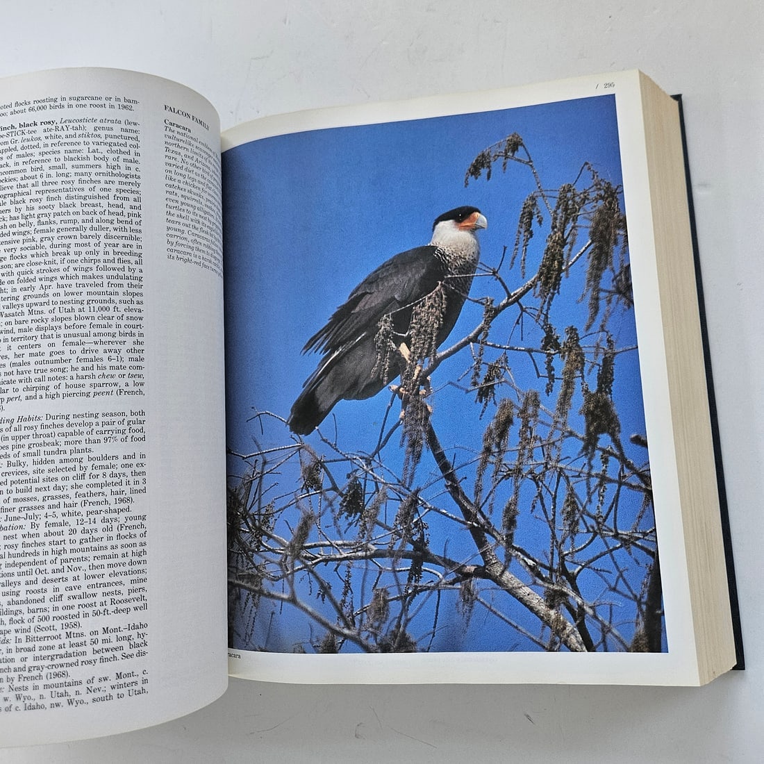 Audubon BIRDS OF AMERICA Book Lot - 15