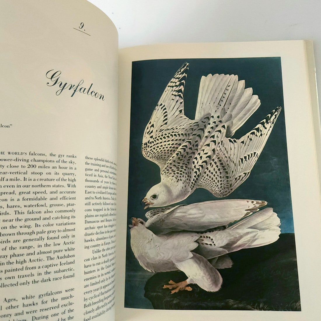 Audubon BIRDS OF AMERICA Book Lot - 20