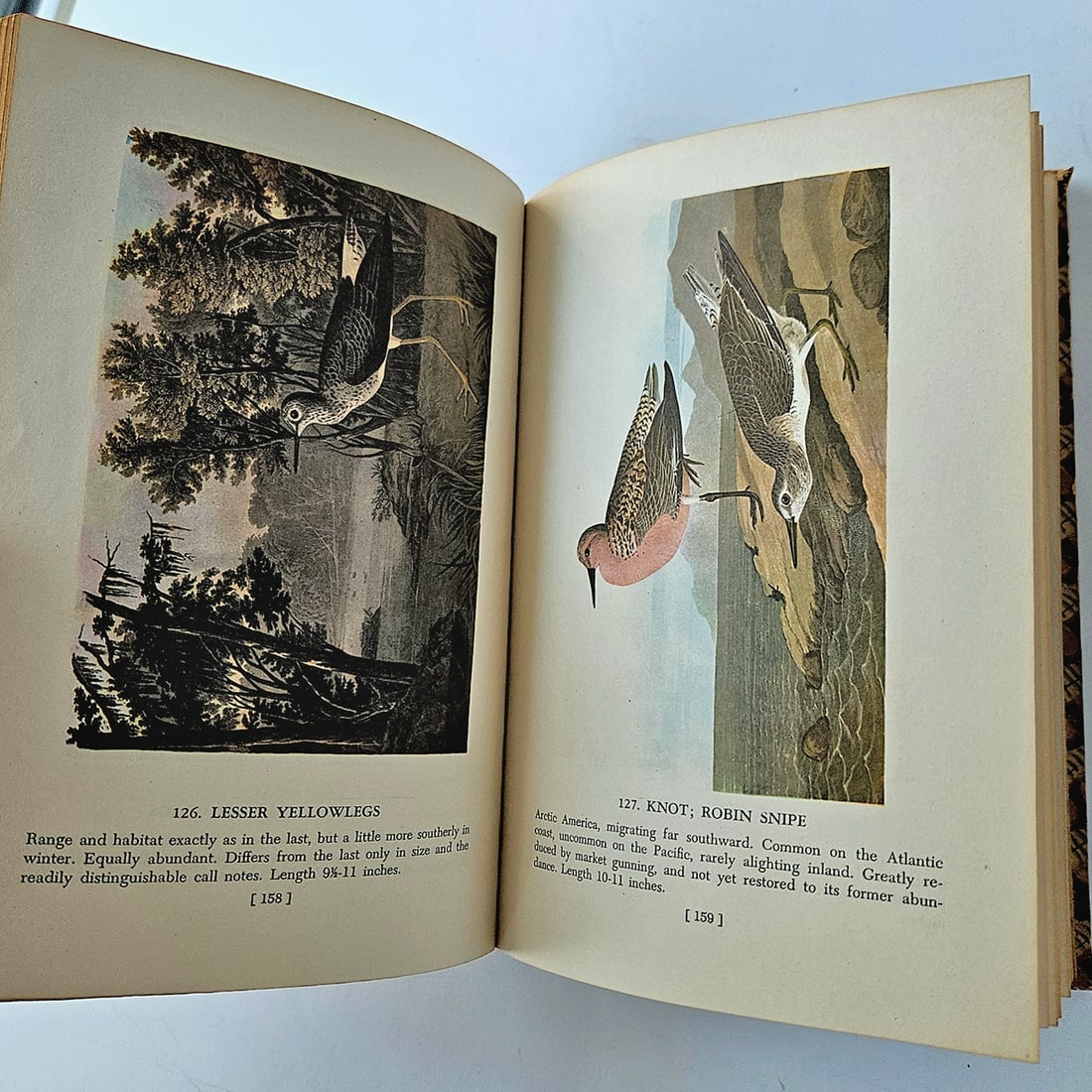 Audubon BIRDS OF AMERICA Book Lot - 8