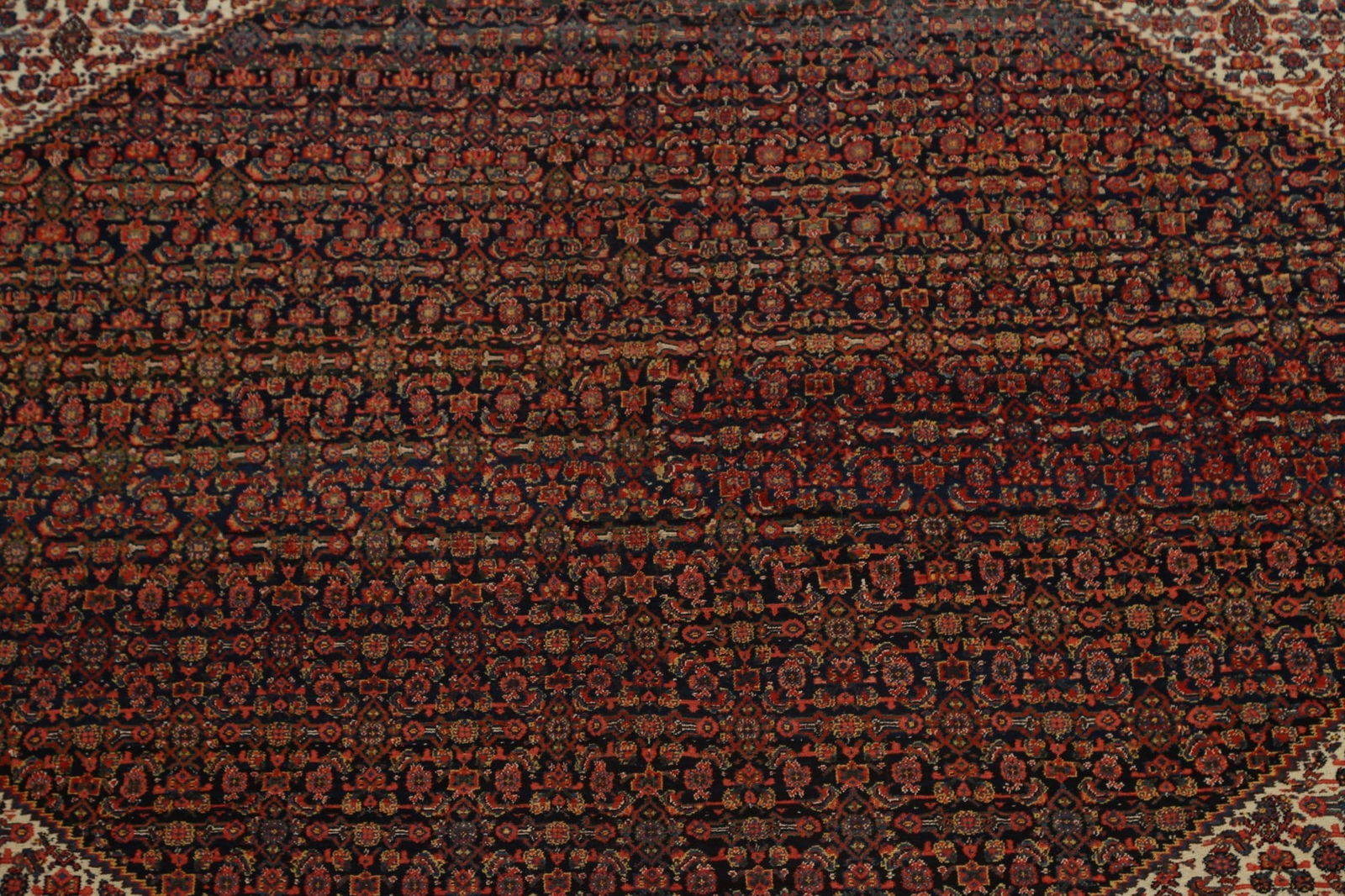 Antique 100% Vegetable Dye Senneh Persian Area Rug 11x16 - 4