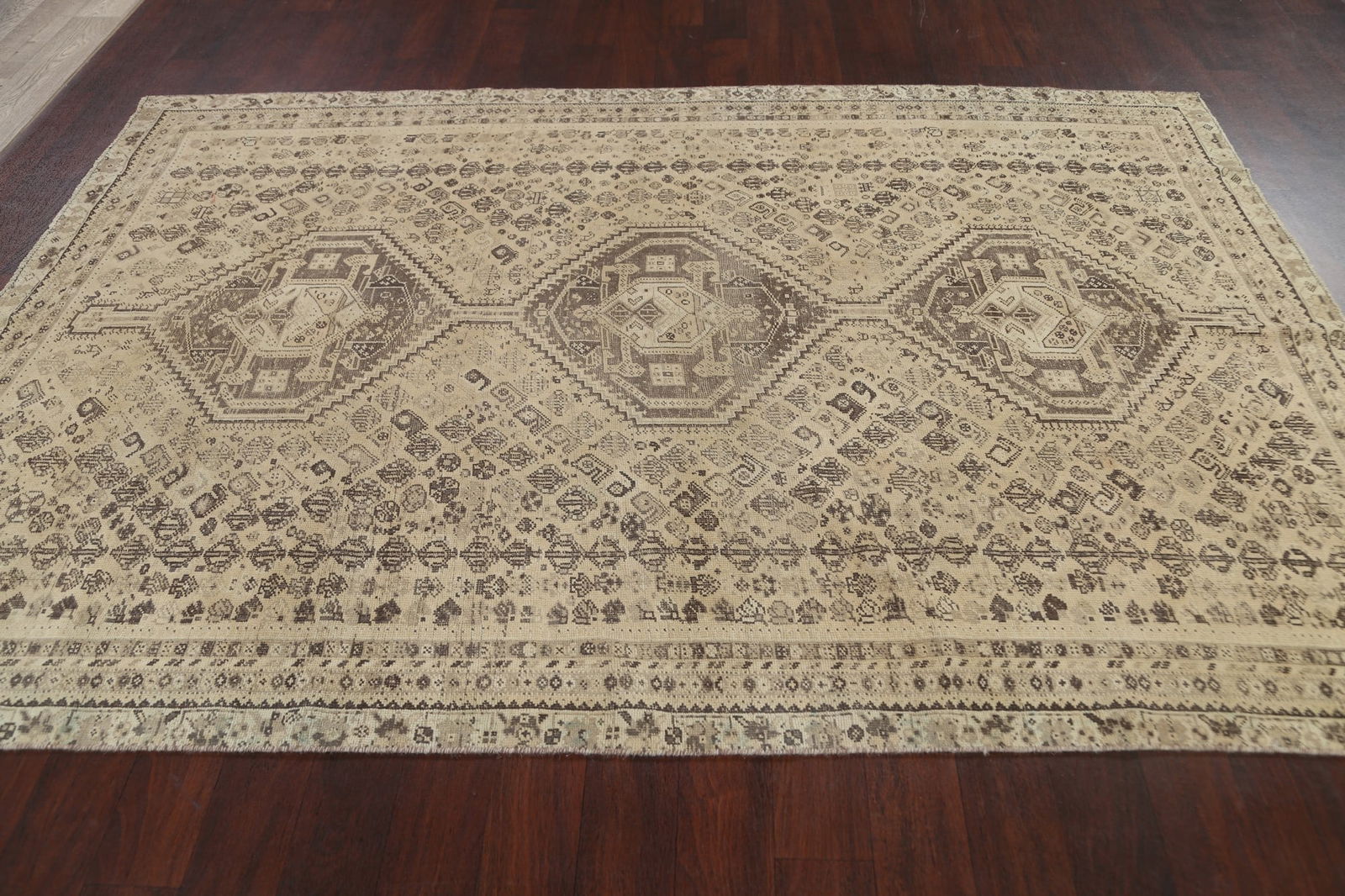 Antique Shiraz Persian Wool Rug 6x9 - 12