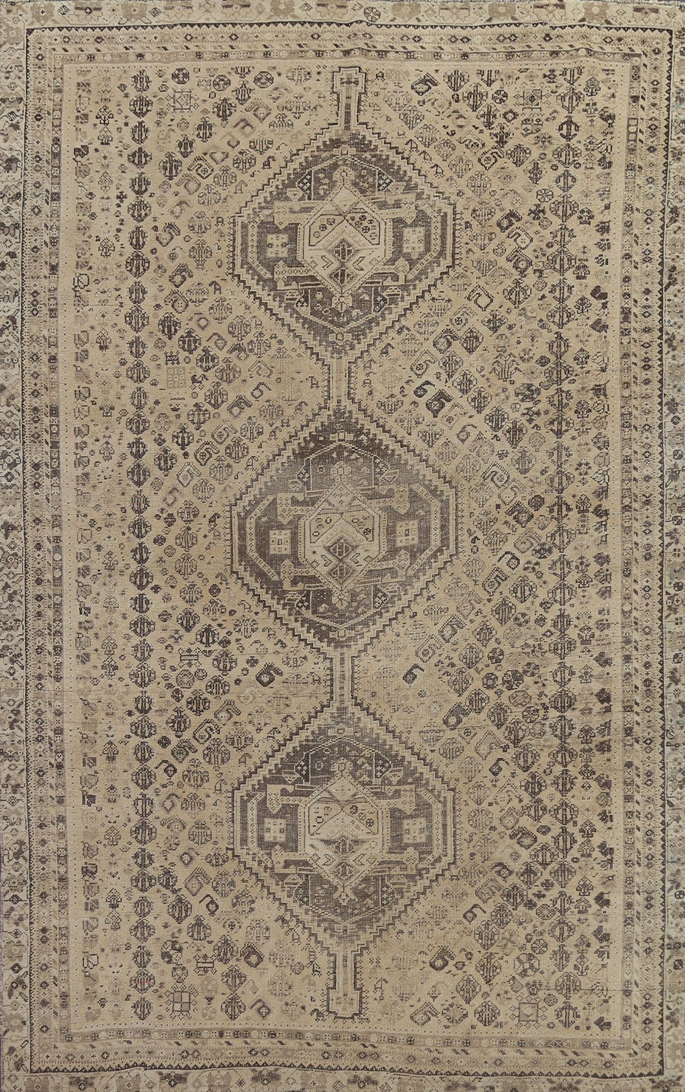 Antique Shiraz Persian Wool Rug 6x9 (1 of 17)