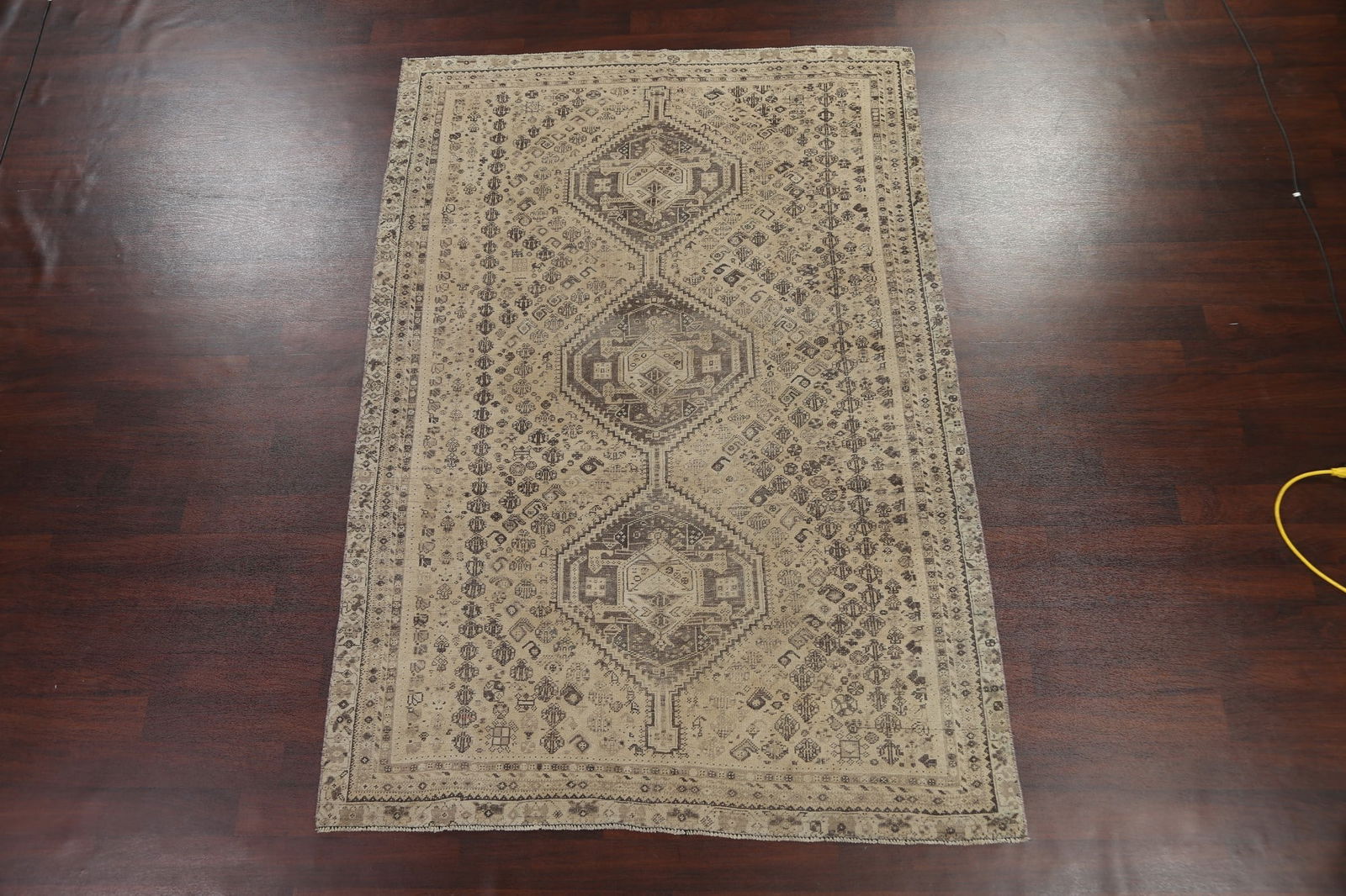 Antique Shiraz Persian Wool Rug 6x9 - 2