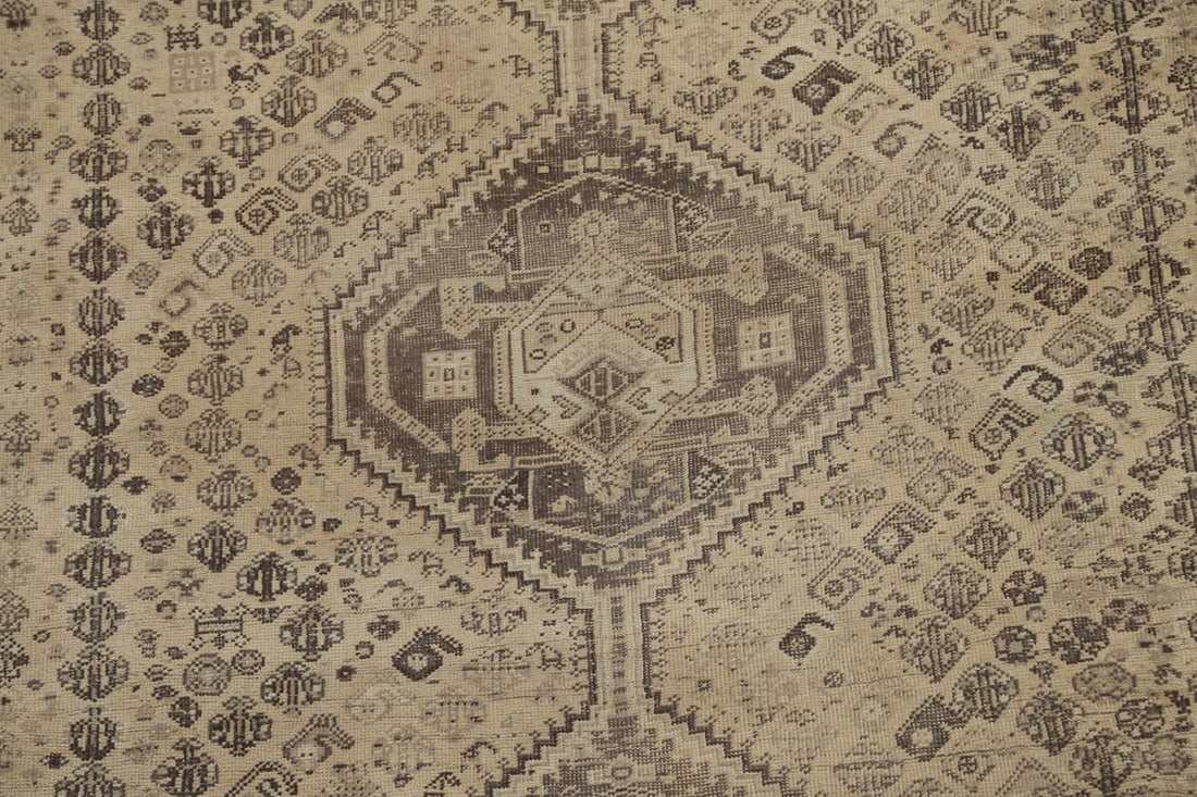 Antique Shiraz Persian Wool Rug 6x9 - 4